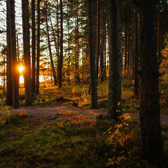 Усадьба Karhumaki Sport&Spa , Медвежьегорск, Республика Карелия