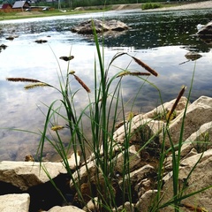 Туристическая база Парк Зилим, Республика Башкортостан