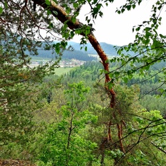 Туристическая база Парк Зилим, Республика Башкортостан