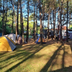 Автокемпинг Под соснами, Геленджик, Краснодарский край