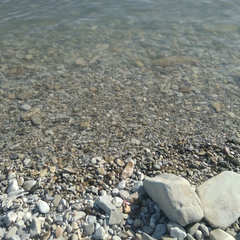 Автокемпинг Под соснами, Геленджик, Краснодарский край