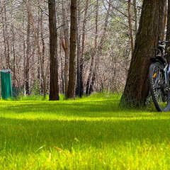 Автокемпинг Под соснами, Геленджик, Краснодарский край