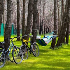 Автокемпинг Под соснами, Геленджик, Краснодарский край