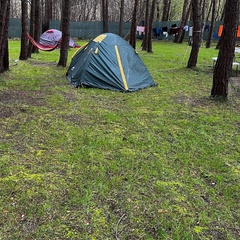Автокемпинг Под соснами, Геленджик, Краснодарский край
