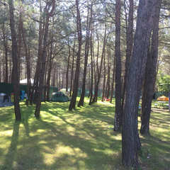 Автокемпинг Под соснами, Геленджик, Краснодарский край