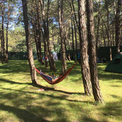 Автокемпинг Под соснами, Геленджик, Краснодарский край