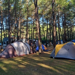 Автокемпинг Под соснами, Геленджик, Краснодарский край