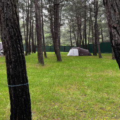 Автокемпинг Под соснами, Геленджик, Краснодарский край