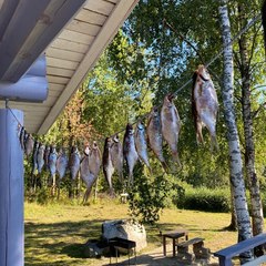 База отдыха Mikli Home, Лахденпохья, Республика Карелия