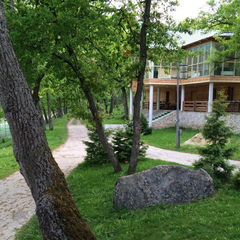 База отдыха Заячьи ушки, Воскресенский район, Саратовская область