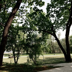 База отдыха Заячьи ушки, Воскресенский район, Саратовская область