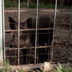 База отдыха Заячьи ушки, Воскресенский район, Саратовская область
