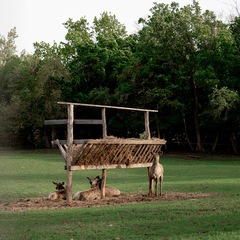 База отдыха Заячьи ушки, Воскресенский район, Саратовская область