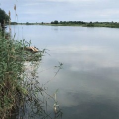 База отдыха На Ахтубе, Волжский, Волгоградская область