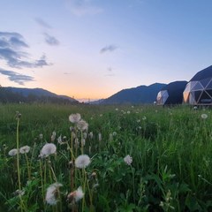 Глэмпинг Место Силы, Анос, Республика Алтай