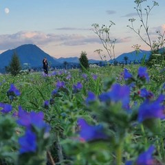 Глэмпинг Место Силы, Анос, Республика Алтай