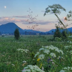 Глэмпинг Место Силы, Анос, Республика Алтай
