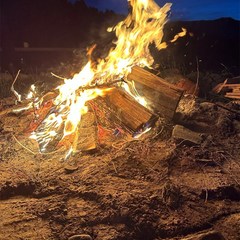 Глэмпинг Место Силы, Анос, Республика Алтай