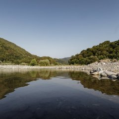 Глэмпинг LAVICON Древо, Сочи, Краснодарский край