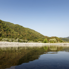 Глэмпинг LAVICON Древо, Сочи, Краснодарский край