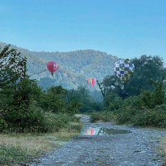 Глэмпинг LAVICON Древо, Сочи, Краснодарский край