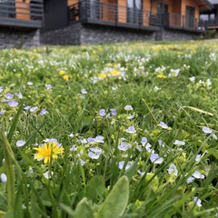 Отель Bella Vista Arkhyz, Архыз, Республика Карачаево-Черкесия