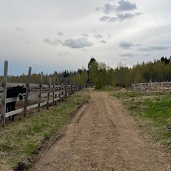 Глэмпинг Glamping.Hygge , Гатчинский район, Ленинградская область