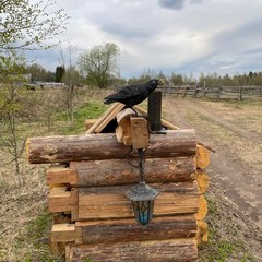 Глэмпинг Glamping.Hygge , Гатчинский район, Ленинградская область