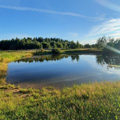 Глэмпинг Glamping.Hygge , Гатчинский район, Ленинградская область