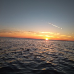 Гостиница Панорама, Белозерск, Вологодская область