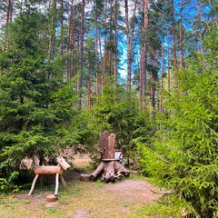 Парк-отель Черепашьи озёра, Нижегородская область