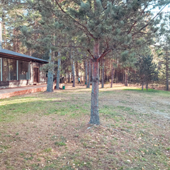 Парк-отель Черепашьи озёра, Нижегородская область