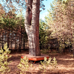 Парк-отель Черепашьи озёра, Нижегородская область