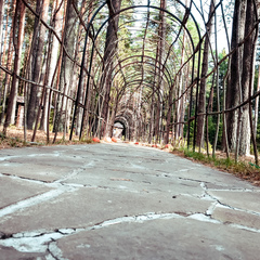 Парк-отель Черепашьи озёра, Нижегородская область