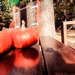 Парк-отель Черепашьи озёра, Нижегородская область
