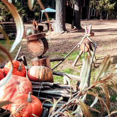 Парк-отель Черепашьи озёра, Нижегородская область