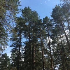 Парк-отель Черепашьи озёра, Нижегородская область