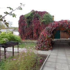 Гостевой дом За Камой, Пермь, Пермский край