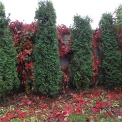 Гостевой дом За Камой, Пермь, Пермский край