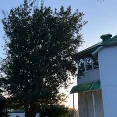 Гостевой дом Дача Кузьмича, Ступино (Астраханская область), Астраханская область, Астраханская область