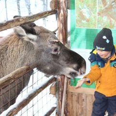 Гостинично-туристический комплекс Финноугория, Сыктывдинский район, Республика Коми