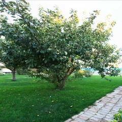 Усадьба Никольское, Село Никольское (Астраханская область), Астраханская область