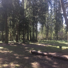 Турбаза Молодость, Яхрома, Московская область