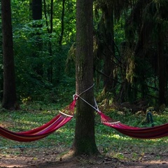 Турбаза Молодость, Яхрома, Московская область