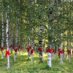 Отель Березки, Чебоксарский район, Республика Чувашия