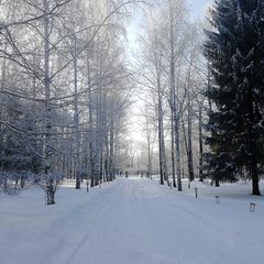 Отель Березки, Чебоксарский район, Республика Чувашия
