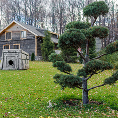 Гостевой дом Дом в лесу, Верхнеуслонский район, Татарстан