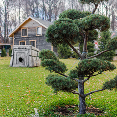 Гостевой дом Дом в лесу, Верхнеуслонский район, Татарстан
