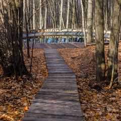 Гостевой дом Дом в лесу, Верхнеуслонский район, Татарстан