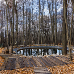 Гостевой дом Дом в лесу, Верхнеуслонский район, Татарстан